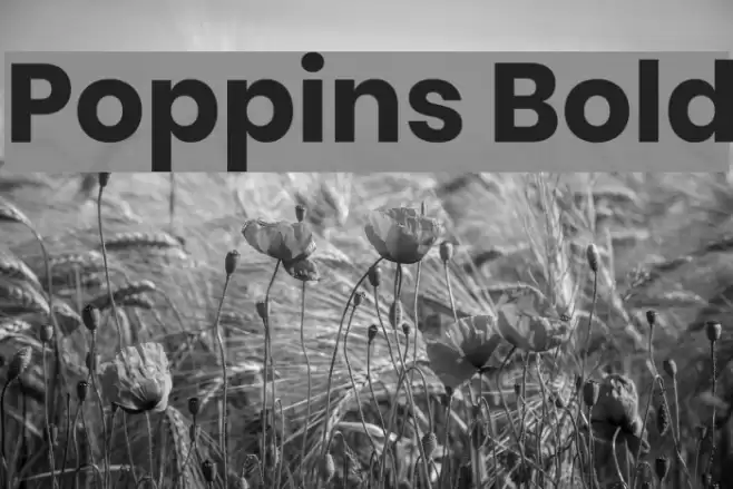 Poppins Bold Font examples