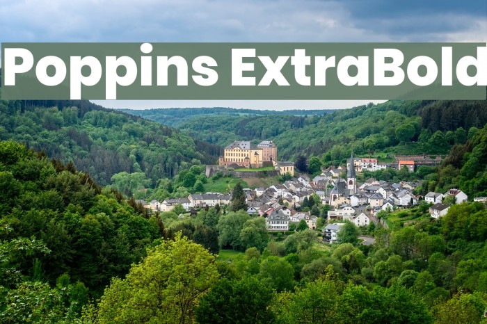 Poppins ExtraBold Font examples