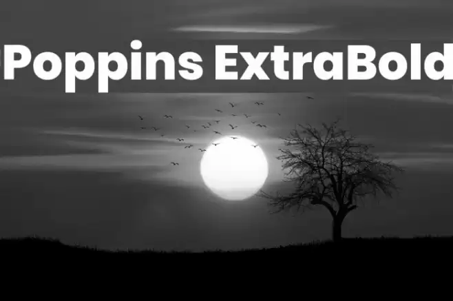 Poppins ExtraBold Font examples
