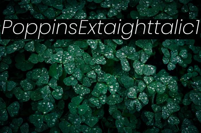 Poppins ExtraLight Italic1 Example 1