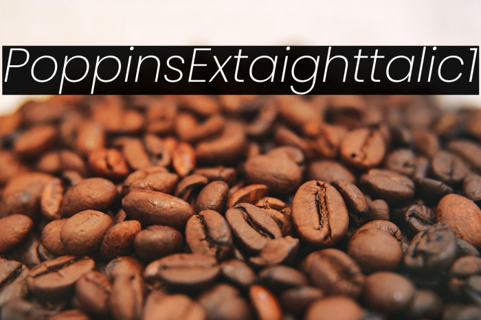 Poppins ExtraLight Italic1 Example 2