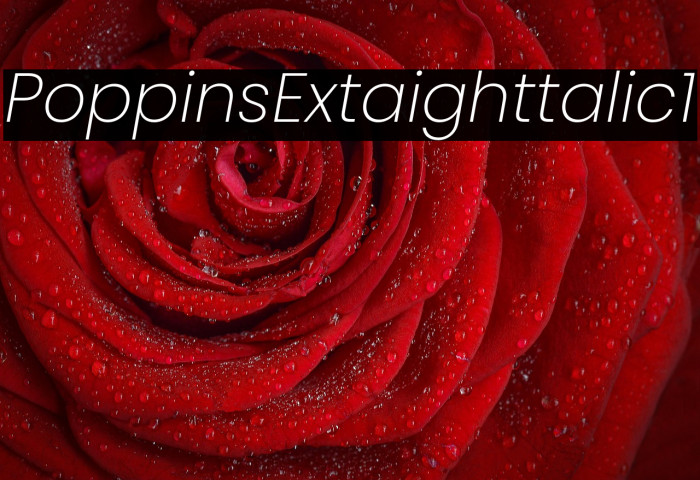 Poppins ExtraLight Italic1 Example 3