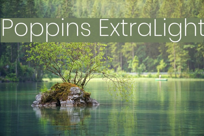 Poppins ExtraLight Font examples
