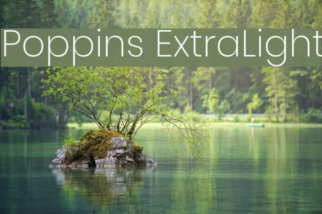 Poppins ExtraLight Example 1