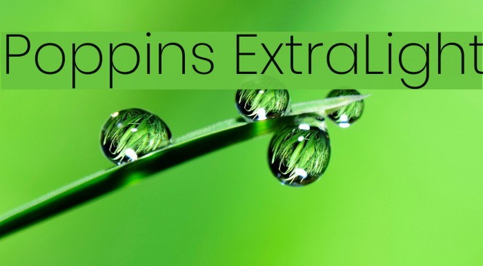 Poppins ExtraLight Font examples