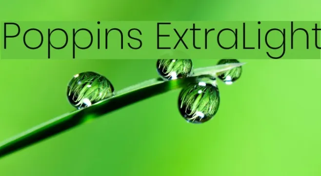 Poppins ExtraLight Example 2