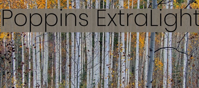 Poppins ExtraLight Font examples