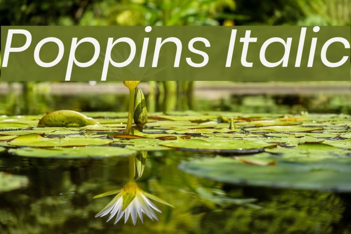 Poppins Italic Font examples