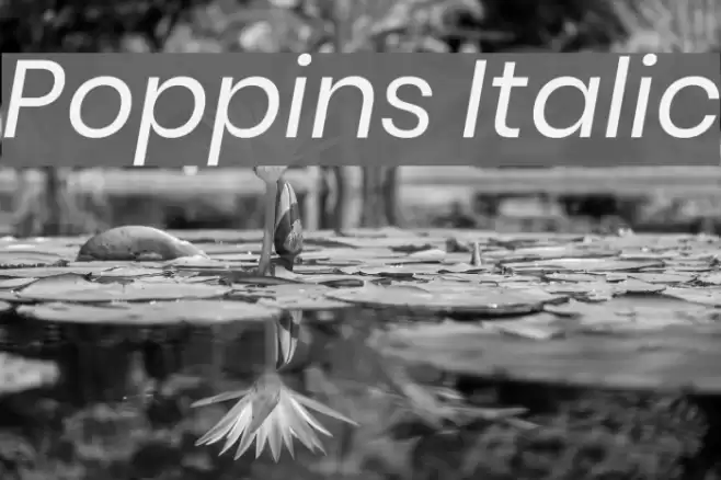 Poppins Italic examples
