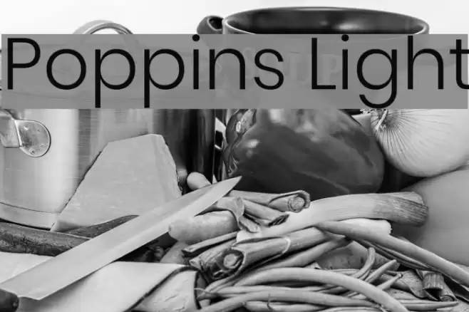 Poppins Light Font examples