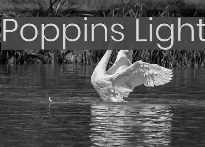 Poppins Light Font examples
