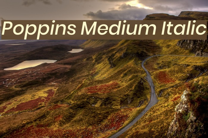 Poppins Medium Italic Font examples