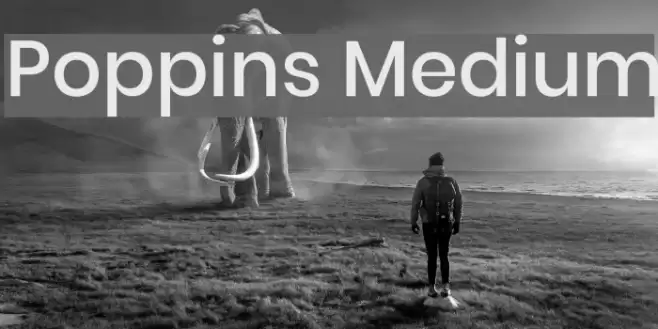 Poppins Medium Font examples