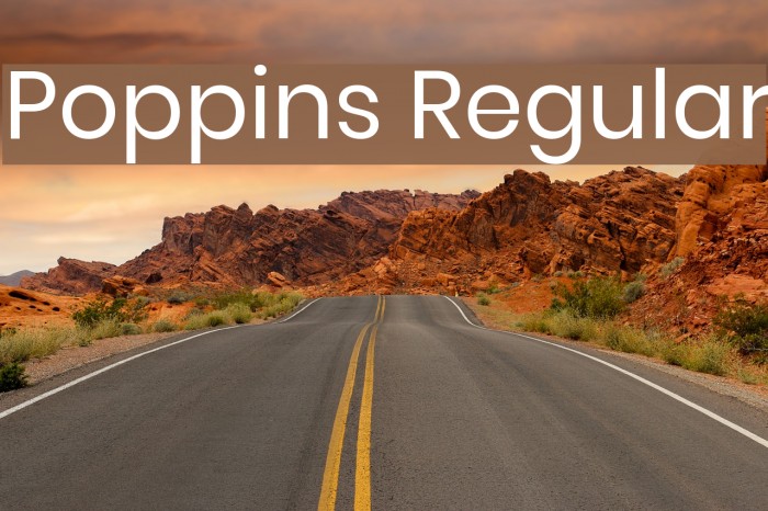 Poppins Regular Font examples