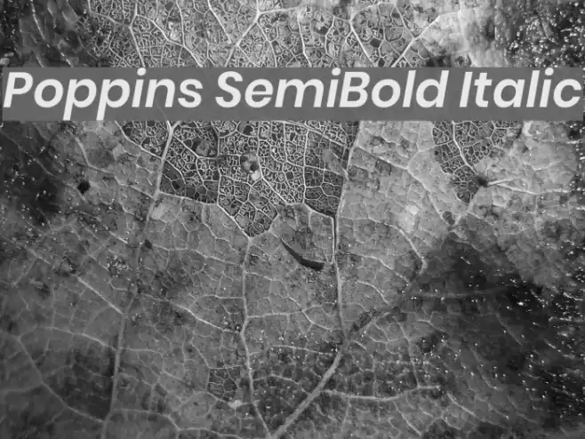 Poppins SemiBold Italic Font examples