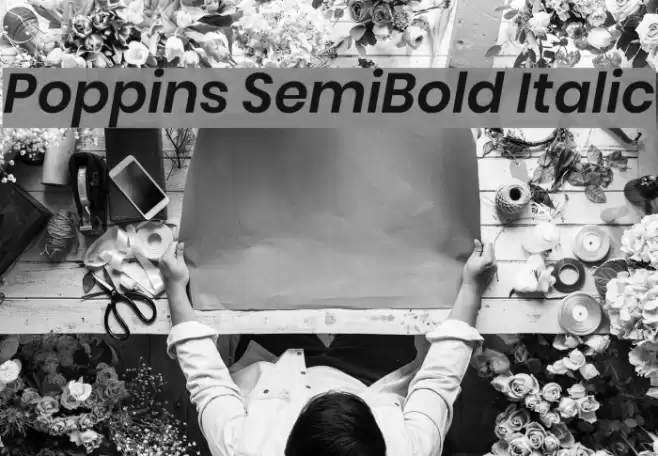 Poppins SemiBold Italic Font examples