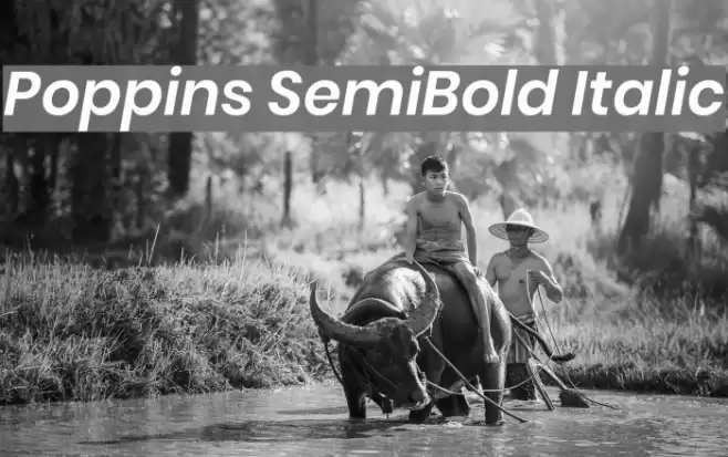 Poppins SemiBold Italic Font examples