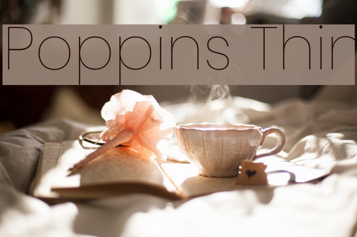Poppins Thin Font examples
