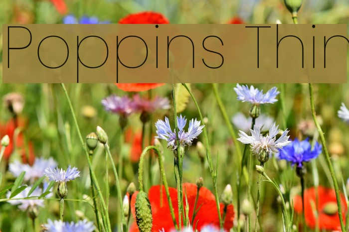Poppins Thin Font examples