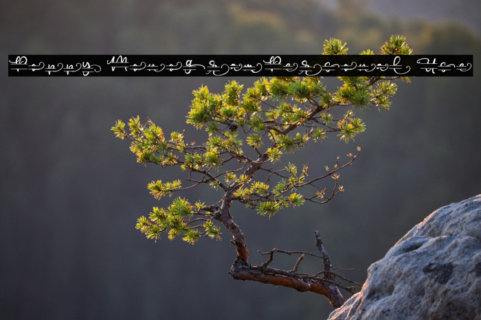 Poppy Monogram_Personal Use Example 1