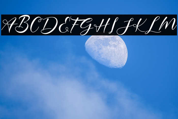 Poppy Shower Example 1