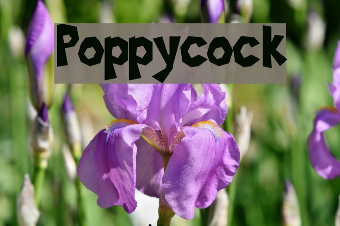 Poppycock フォント examples