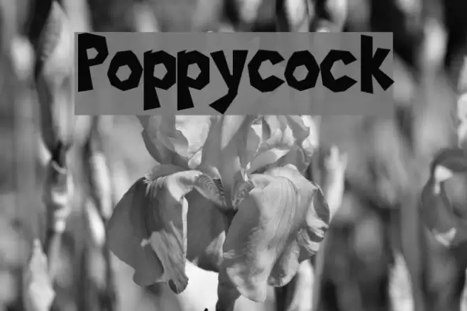 Poppycock Font examples