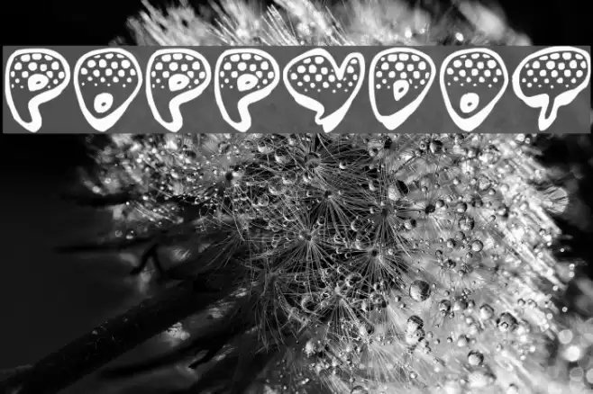 Poppydot Font examples