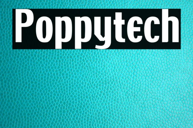 Poppytech Example 1