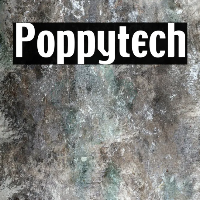 Poppytech Example 2