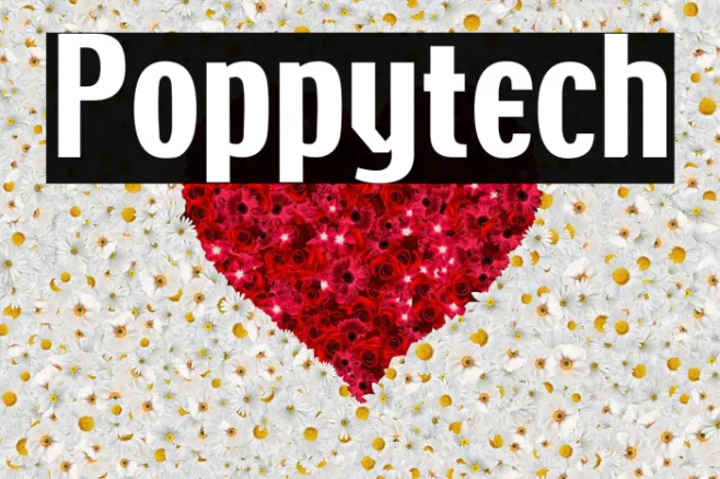 Poppytech Example 3
