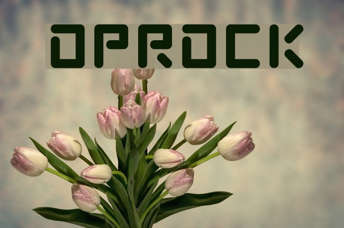 Poprock Fuentes examples