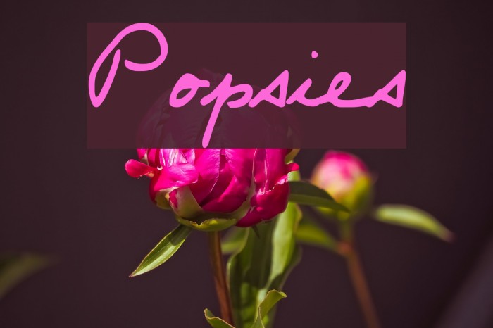 Popsies Font examples