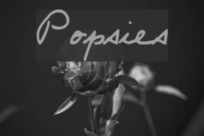 Popsies Шрифта examples