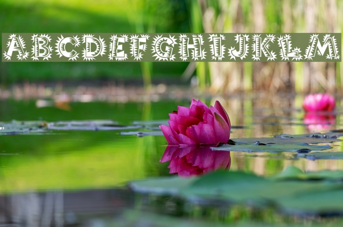 PopticsOne Example 1