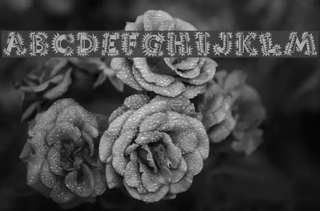 PopticsOne Font examples