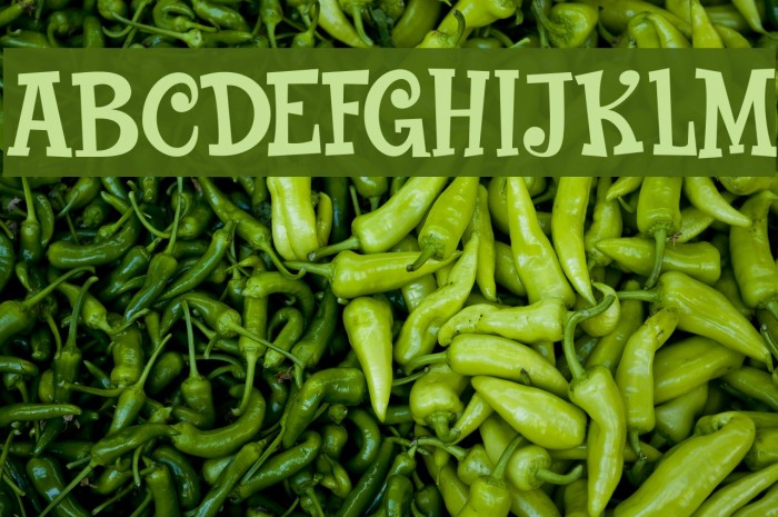 Popty Ping DEMO Regular Font examples