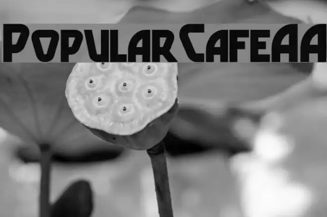 PopularCafeAA Caratteri examples