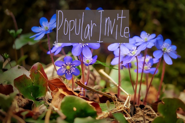 PopularInvite Font examples