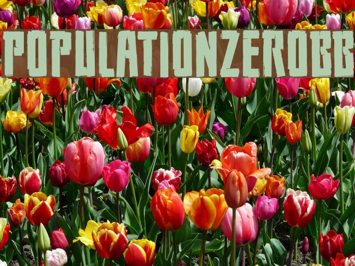 PopulationZeroBB Font examples