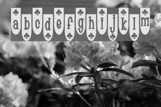 Populuxe Blub フォント examples