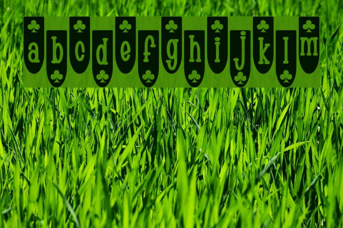 Populuxe Blub Font examples