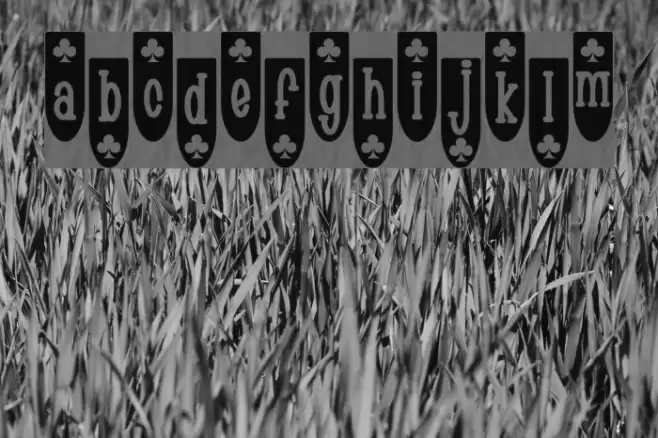 Populuxe Blub フォント examples