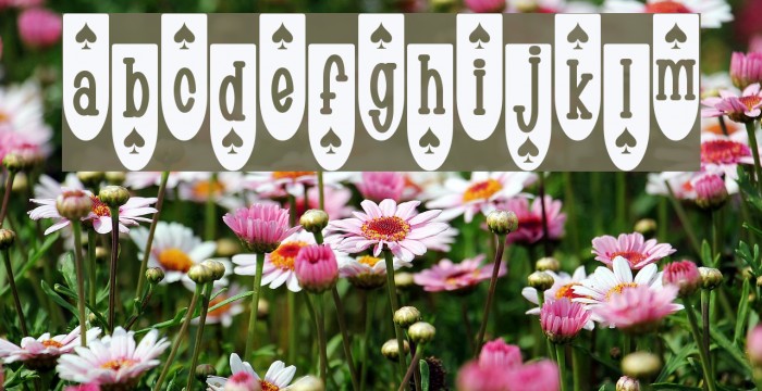 Populuxe Spade Font examples