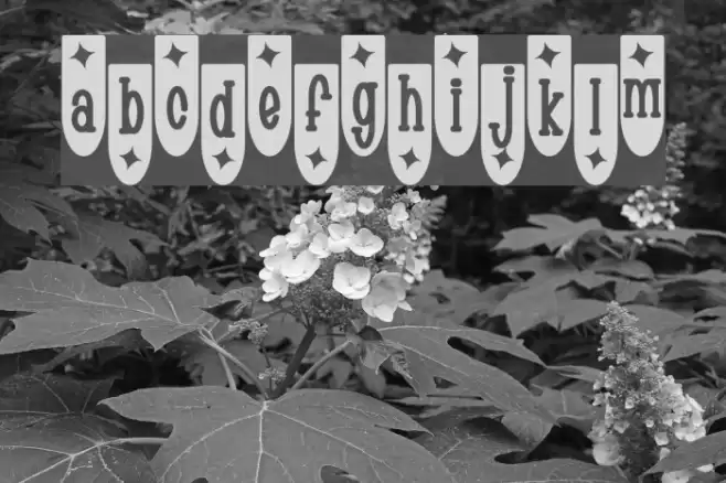 Populuxe Trink Font examples