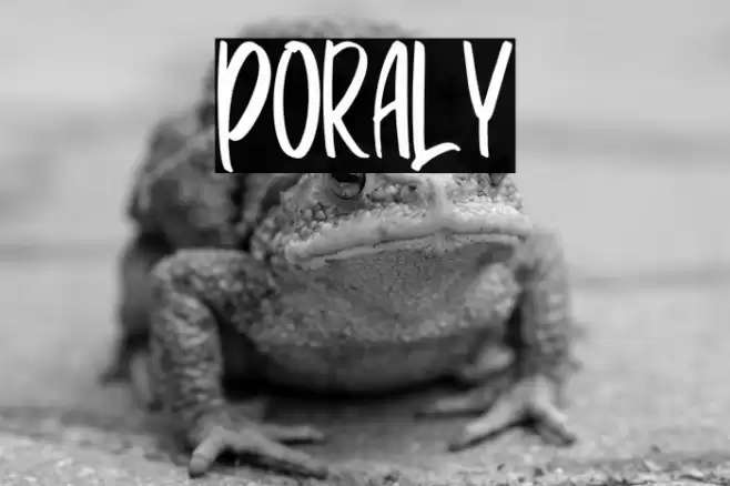 Poraly Font examples