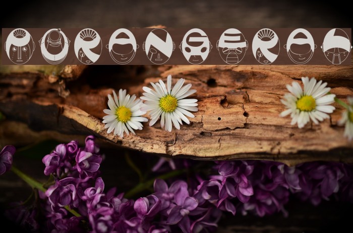 PorangerAL Example 2