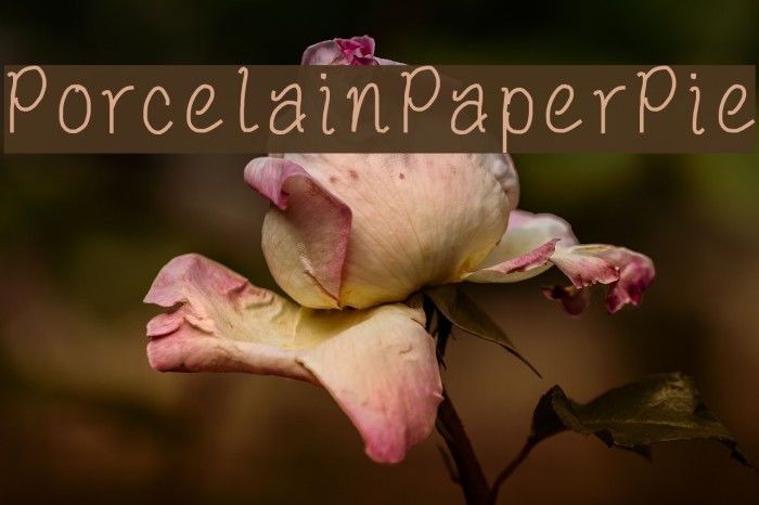 PorcelainPaperPie Example 2