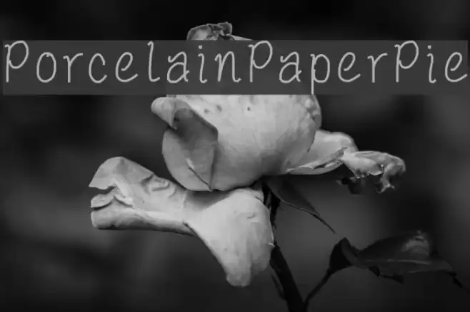 PorcelainPaperPie Font examples