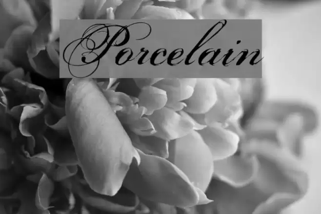 Porcelain Font examples